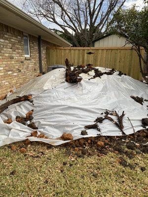 Starnes Plumbing & Sprinkler Systems