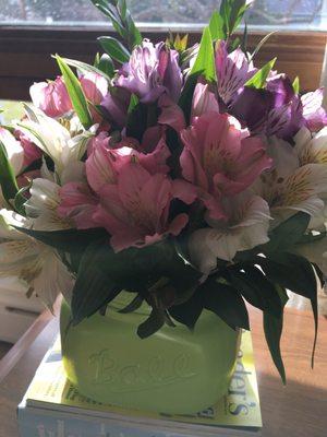 plants of distinction