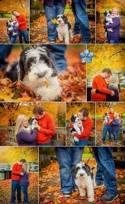 Sue Egan Photography