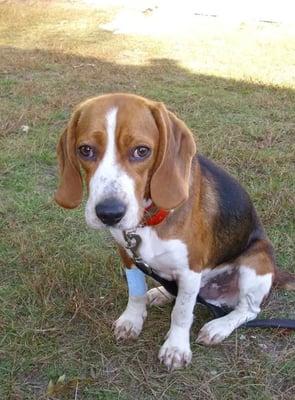 OK... I know I'm biased but seriously? How could someone not want this little baby boy? Look at that sweet little face!!!