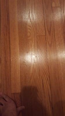 Clear coat dropped and hardened