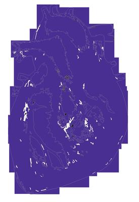 Proximity Theatre Company