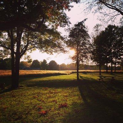Chambers Family Farm