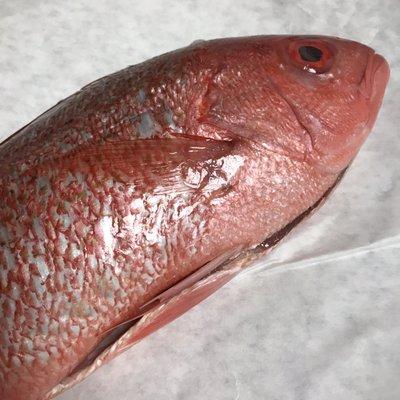 This whole red snapper from Catch On was delicious! And quite the adventure to cook.