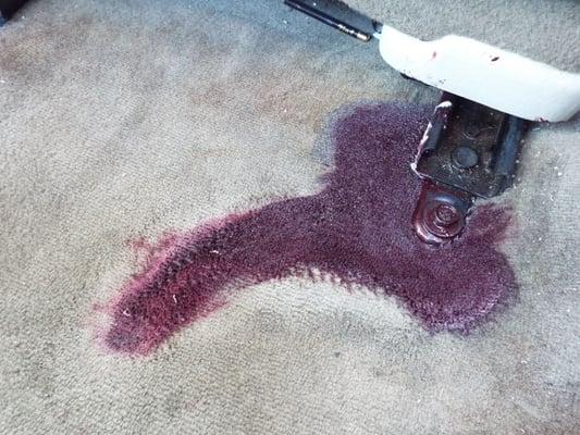 This felt like a hint from them to get a new carpet.