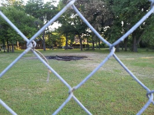 American Legion Post 310