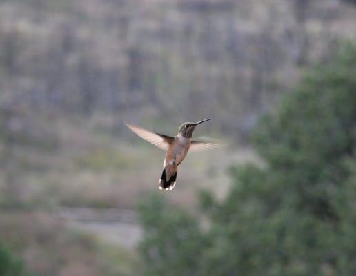 Helping People Press The Pause Button.