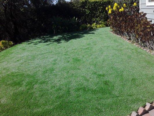 M&K Landscaping Services