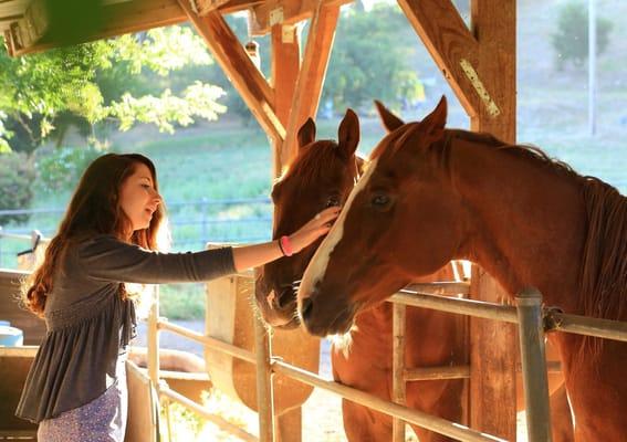 Kenwood Oaks Guest House