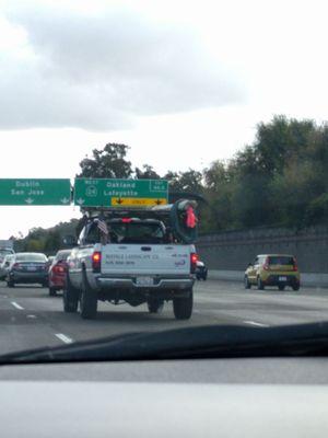 Buffalo Landscape Company