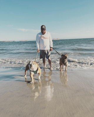 Rocco’s Pool Service