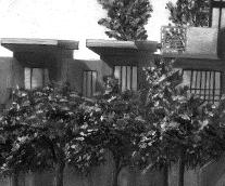 Haack & Company INT Accounting