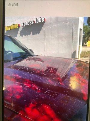 Pelican Car Wash Quick Lube