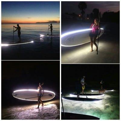 Night paddle boarding tours.