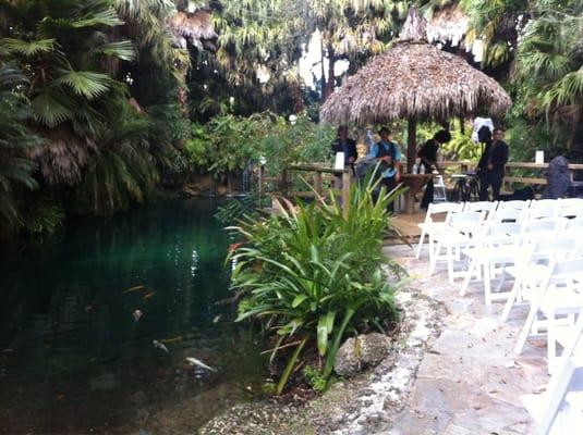 Jungle B's Landscapes