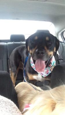 Sadie looking fab after her spa day!