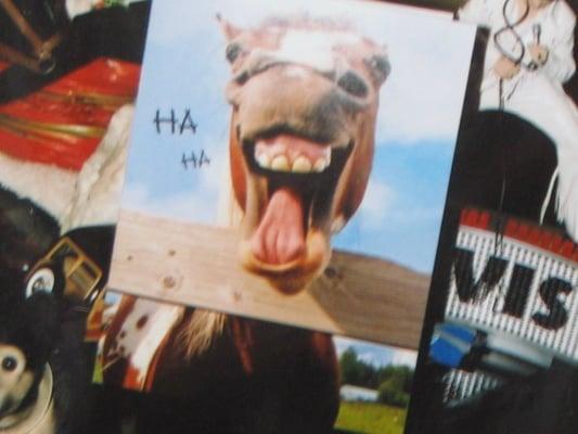 he also like animals...