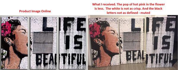 Image on left is what is listed online. Image to right is what I received. Even the white is muted.  Check out the flower in her hair.