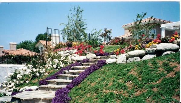 Oliver Holt Landscape