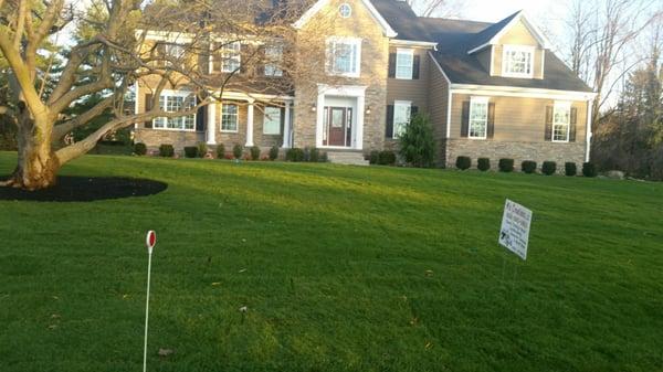 M's Creations, Landscaping