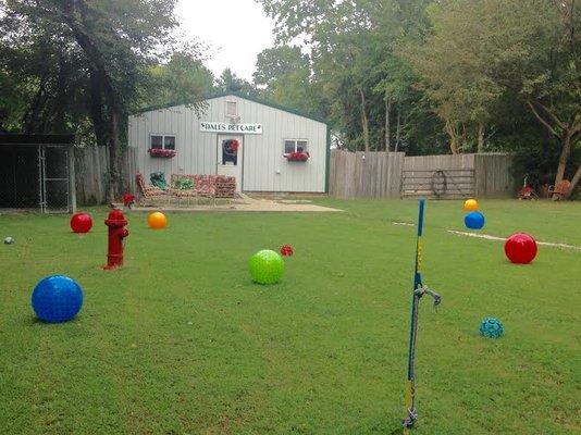 Dale's Pet Care - a safe, fun place for your pet when you can't be with them.