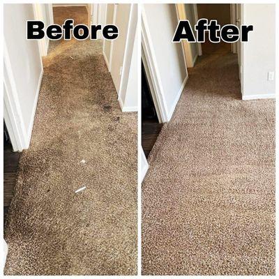 LDC Carpet Cleaning