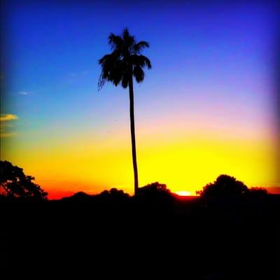 Bone Money Entertainment