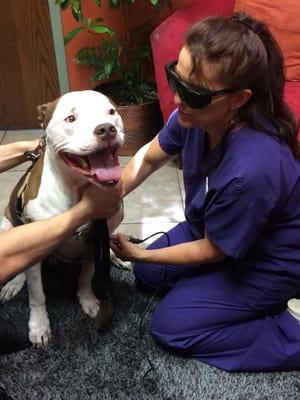 Tech Deana performs a laser treatment on a rehab client!