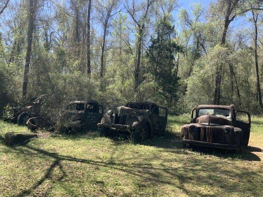 Harvey's Historic Truck Display