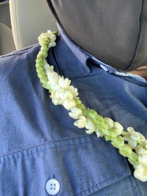 Pakalana and Pikake. The fragrance is heaven.