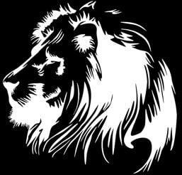 Lion's Den Tattoo Studio