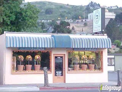 Balloon Galore Decorations