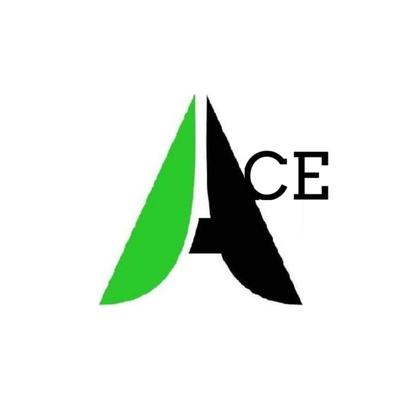 Ace Tax Services