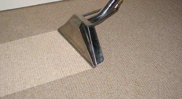 WE CAN CLEAN YOUR CARPETS