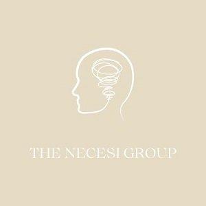The Necesi Group