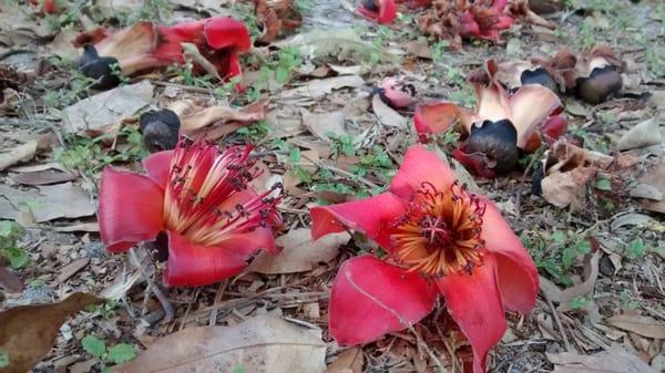 Christ Gospel Church