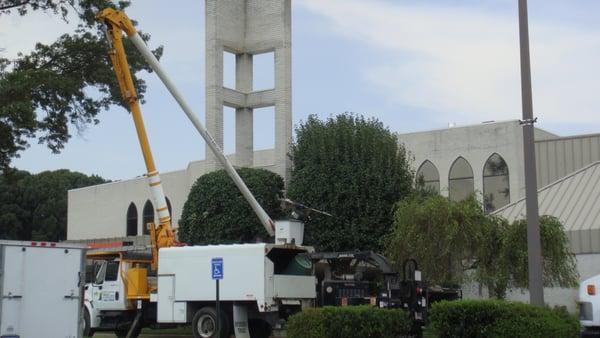 North Country Tree & Landscaping