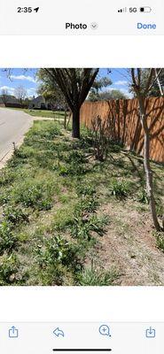 This is one year after install. They were referred by Angie's list. Extremely incompetent at laying sod.