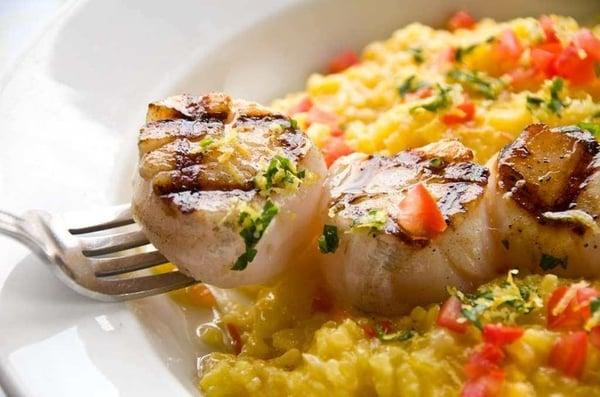 Scallops with saffron risotto