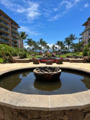 Albany Travel Agency