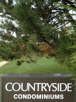 Countryside Condominium Association