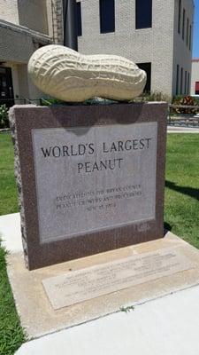 Worlds largest peanut