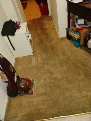 Thurman Payton Carpet Cleaning Solutions