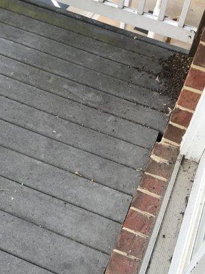 Springfield Farm Apartments