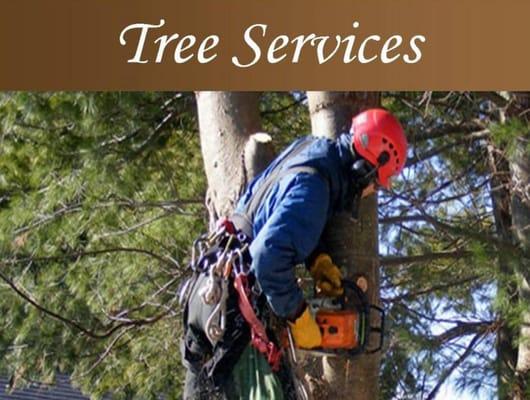 Mountain Gem Services