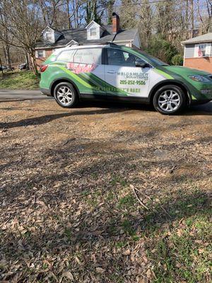 Mold & Mildew Solutions
