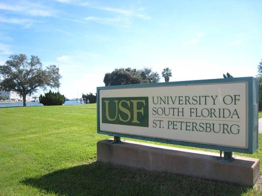 University of South Florida-St Petersburg