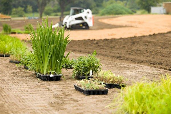 La Crosse Landscaping