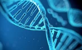 DNA Paternity Testing of California