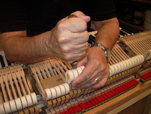 Allied PianoCraft